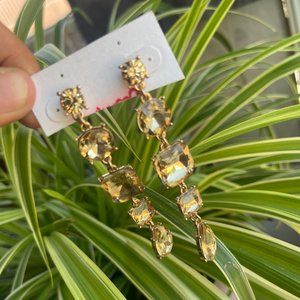 Handcrafted Earrings